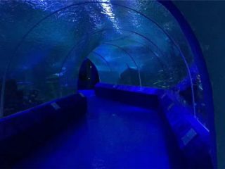 180 vagy 90 fokos akril panelek az akváriumi alagút számára