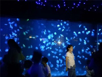 2018 akril medúza akvárium tartály üveg