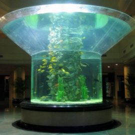 pmma üveg akvárium félhengeres perspex tiszta haltartály