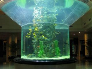 pmma üveg akvárium félhengeres perspex tiszta haltartály