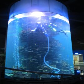 tiszta akrilhenger nagy akvárium akváriumokhoz vagy óceáni parkhoz