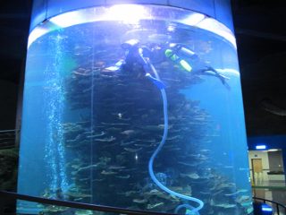 tiszta akrilhenger nagy akvárium akváriumokhoz vagy óceáni parkhoz