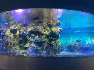 gyár szállítása hal tálak, kerek üvegtartály akváriumok
