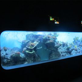 Mesterséges öntött acryl hengeres Átlátszó hal akvárium / ablak