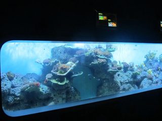 Mesterséges öntött acryl hengeres Átlátszó hal akvárium / ablak