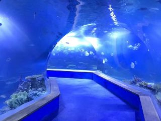 Clear pmma akril Nagy műanyag alagút az akváriumban