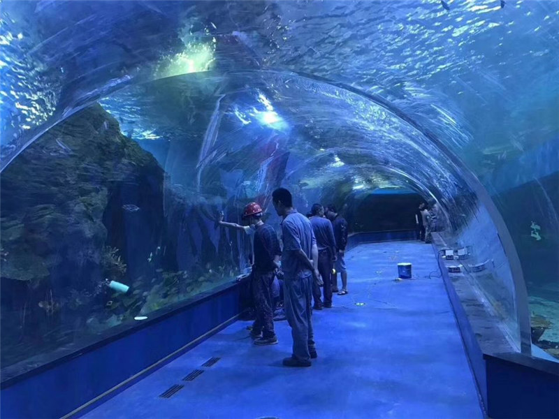 Egyéni akril alagút akvárium