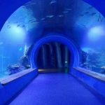 Nagy, tiszta nagy akril alagút akvárium, különböző formájú