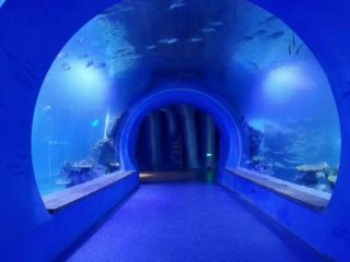 Nagy, tiszta nagy akril alagút akvárium, különböző formájú