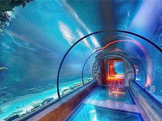 Modern design akril akvárium hosszú alagút