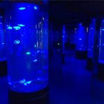 akril medúza akvárium tartály üveg