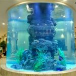kristálytiszta akvárium