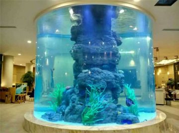 kristálytiszta akvárium