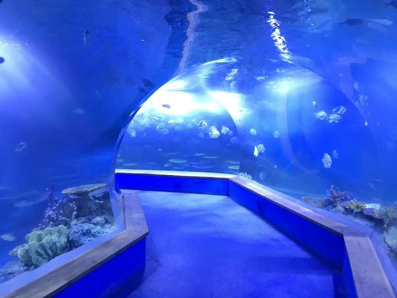 átlátszó akrilüveg Tunnel akvárium